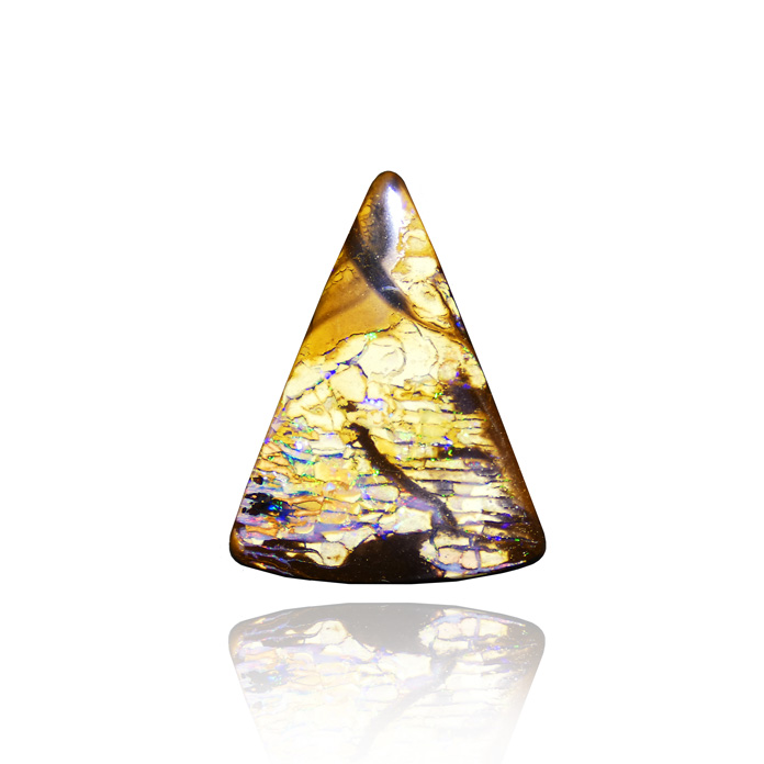 This rare 19ct modified triangle Australian Boulder Opal displays intense multi-color broad and harlequin flash with patches of matrix throughout. From Dufty Weis Opals. Item #CCJ-BO-647.